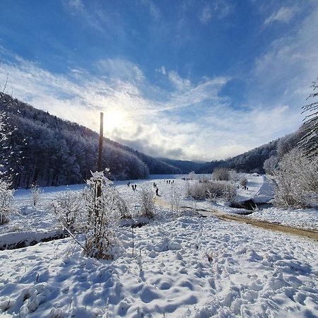 Forest Therapy Suite - Sub Padure Grand Comfort Braşov Esterno foto