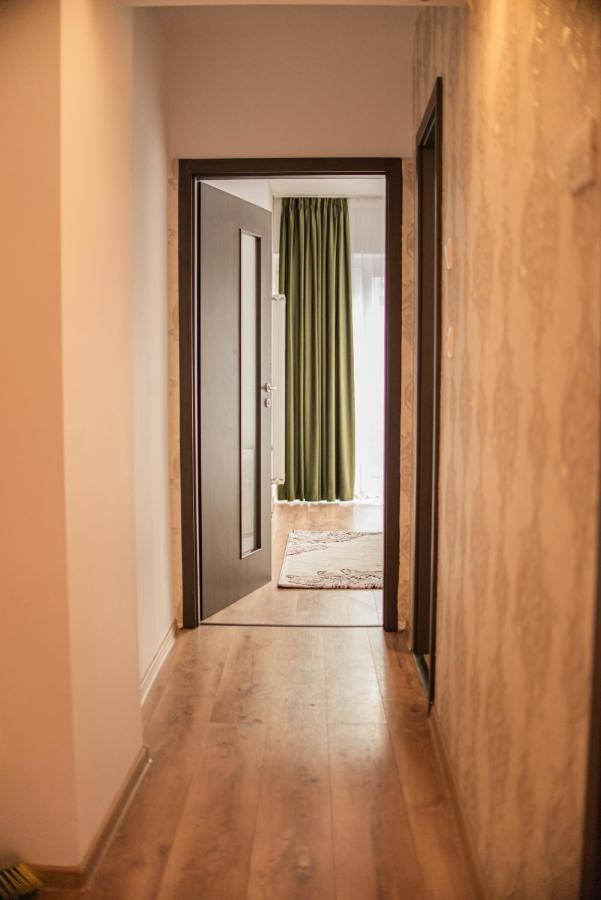 Forest Therapy Suite - Sub Padure Grand Comfort Braşov Esterno foto