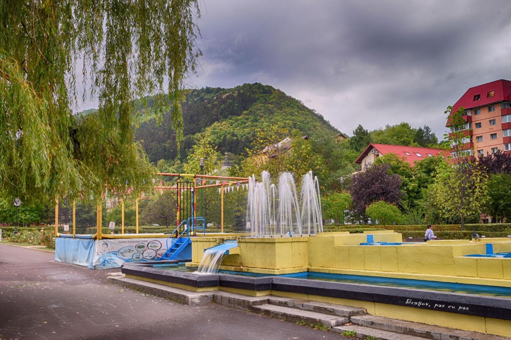Forest Therapy Suite - Sub Padure Grand Comfort Braşov Esterno foto