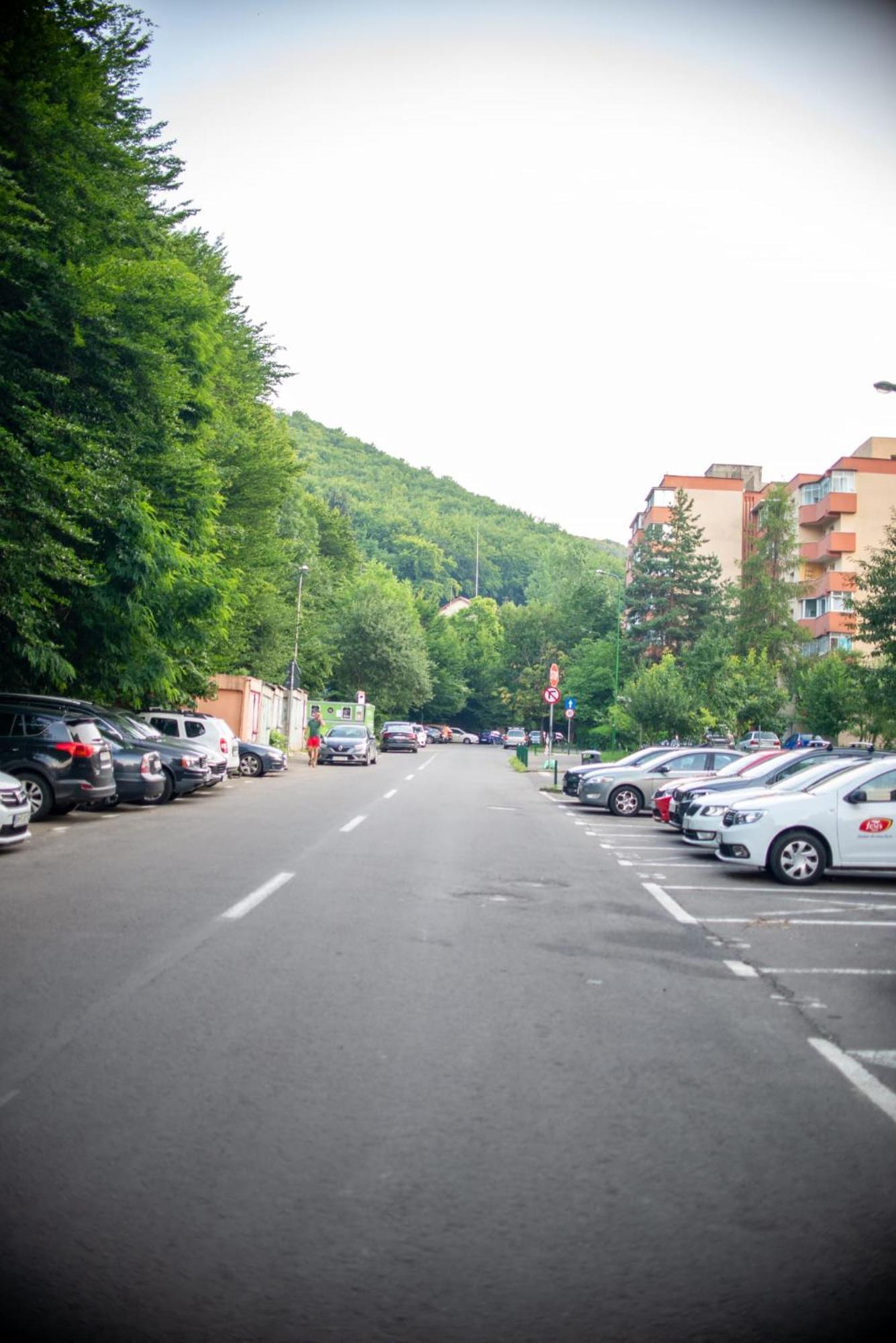 Forest Therapy Suite - Sub Padure Grand Comfort Braşov Esterno foto